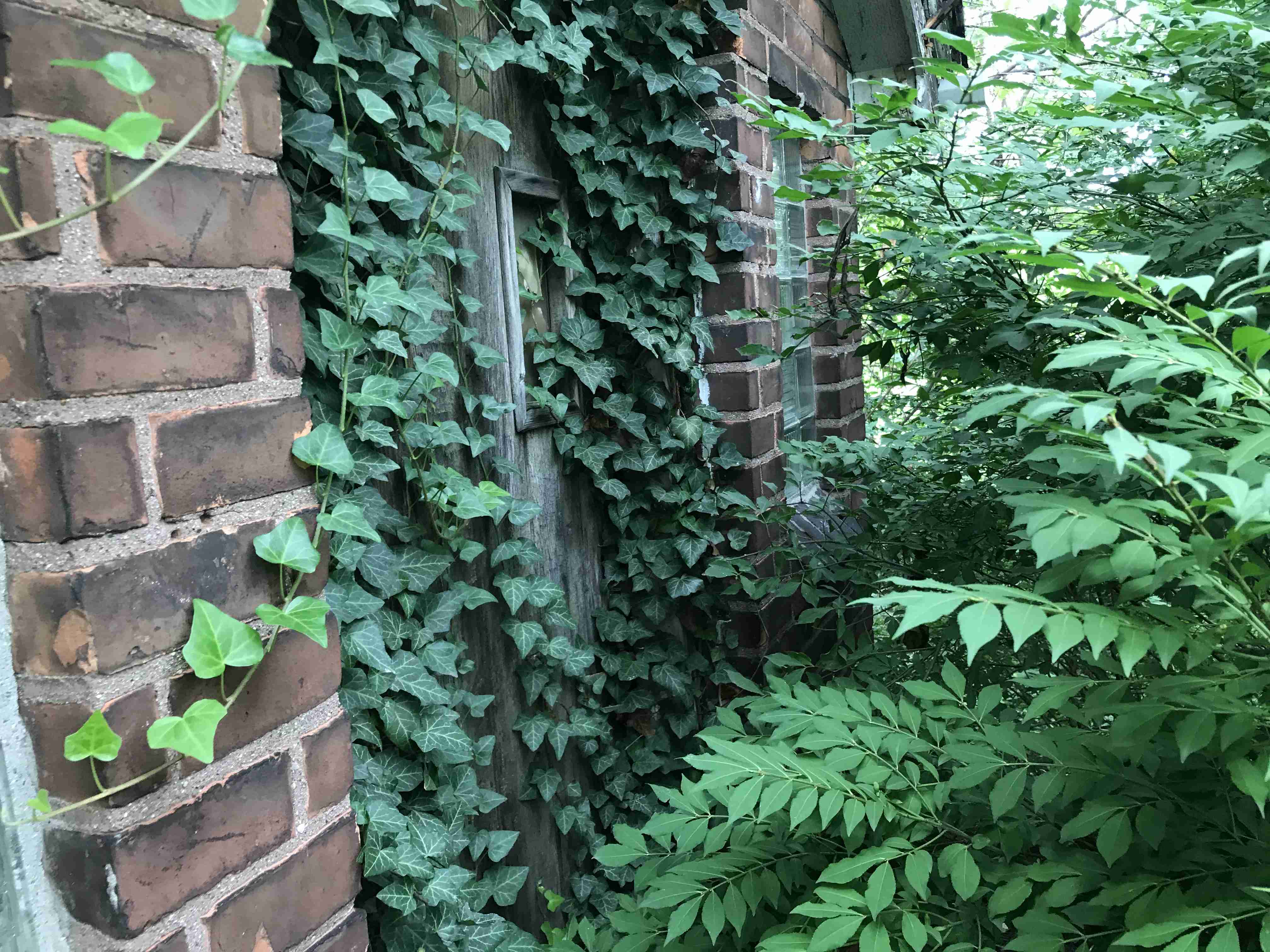 Photo Sep 10, 12 46 57 PM.jpg